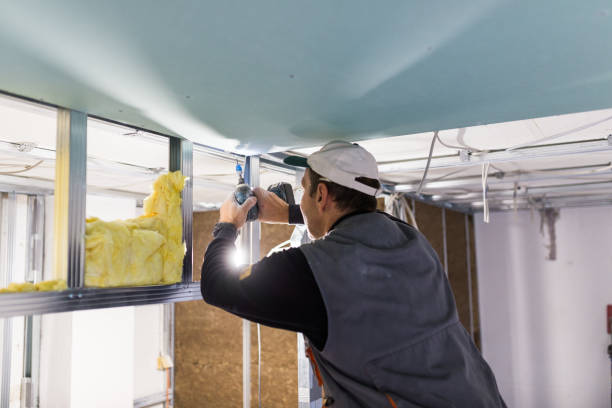 Best Cellulose Insulation in Boswell, PA