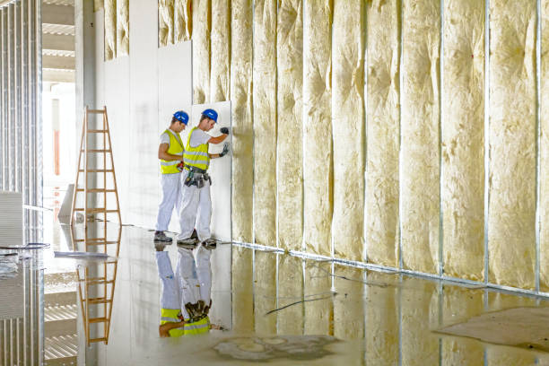 Best Commercial Insulation in Boswell, PA